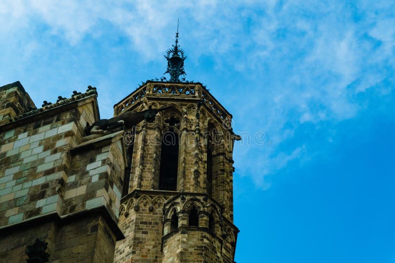 Catedral de la Santa Cruz y Santa Eulalia bell tower and a sculpture. Catedral de la Santa Cruz y Santa Eulalia bell tower and a sculpture