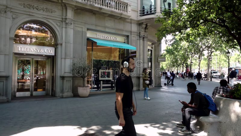 Barcelona, Spain. March 2018: People Queuing Up in Front of Louis Vuitton  Store Stock Video - Video of chinese, editorial: 150555591