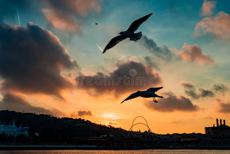 Barceloneta-Strand in Barcelona mit buntem Himmel bei Sonnenaufgang stockbild Barceloneta-Strand in Barcelona mit buntem Himmel bei Sonnenaufgang stockbild