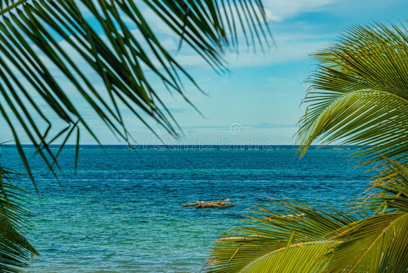 Fishing boat in water of Indian ocean shot from behind palm. Zanzibar, Tanzania. Fishing boat in water of Indian ocean shot from behind palm. Zanzibar, Tanzania.