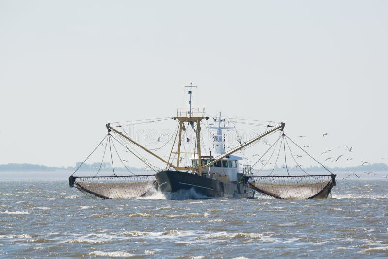 Barco de pesca no mar de wadden do Dutch