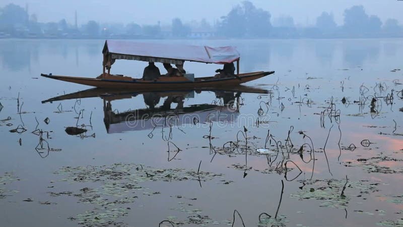 Barco de Shikara na manhã