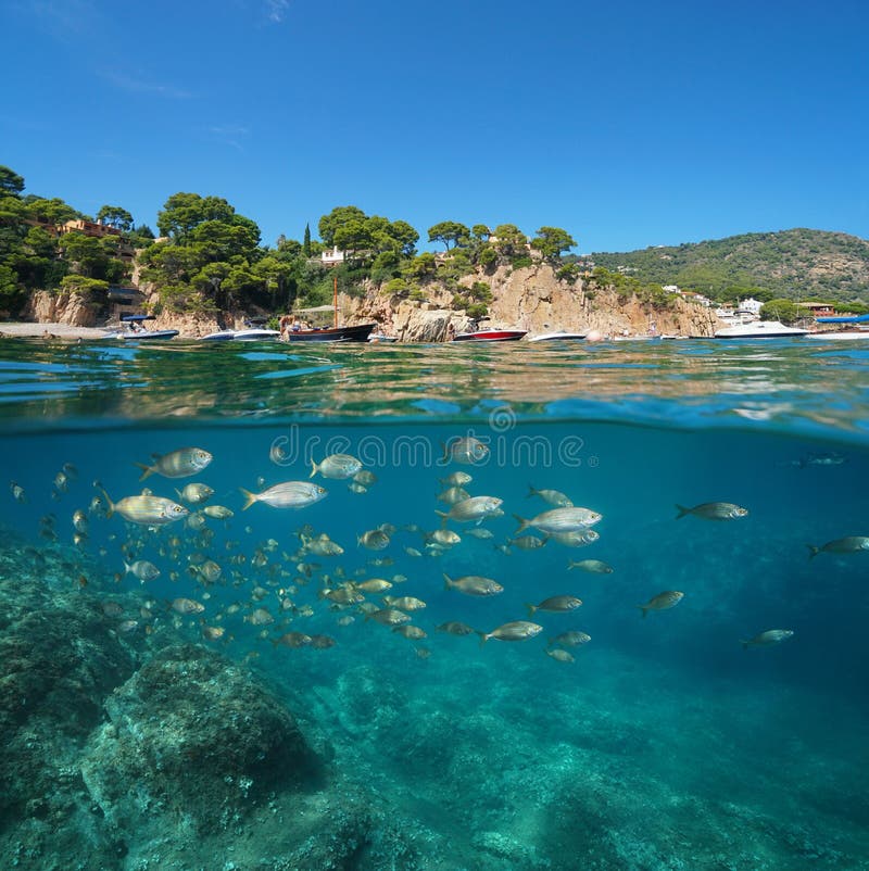 Barcos da Espanha perto da costa rochosa e peixes subaquáticos foto de stock Barcos da Espanha perto da costa rochosa e peixes subaquáticos foto de stock