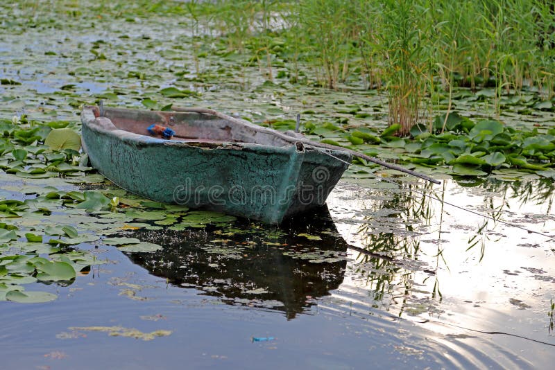 Barcos de fileira velhos em um lago