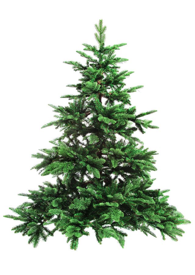 Bare Christmas tree stock photo. Image of natural, holidays 3309126