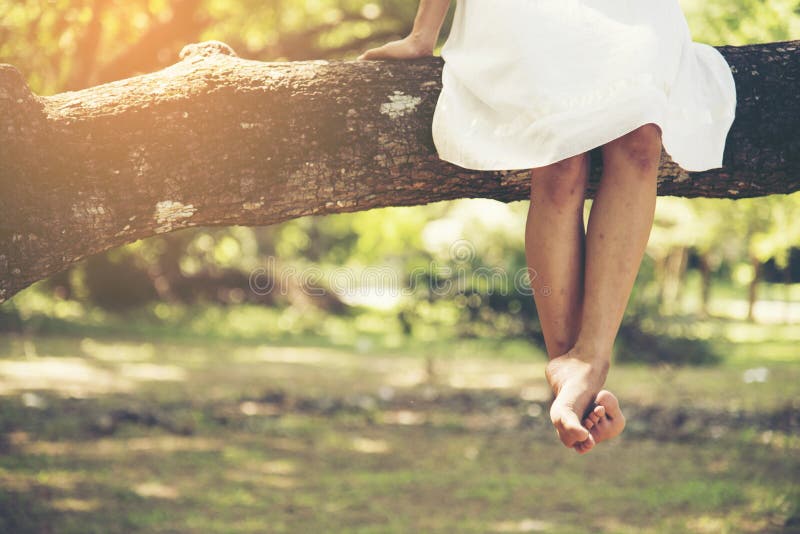 Bare foot female legs sitting on the tree in the park stock photography Bare foot female legs sitting on the tree in the park stock photography
