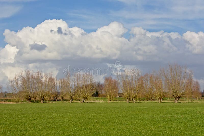 211 Cumulus Clouds Above Green Meadow Photos Free And Royalty Free