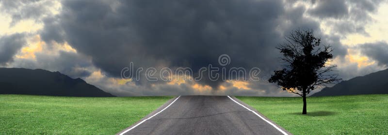 Bare tree on empty road stock image
