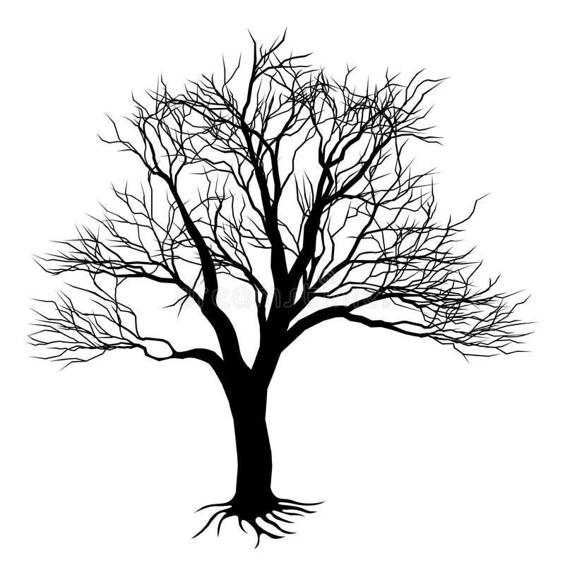 Bare tree silhouette stock vector. Illustration of grunge - 20777986