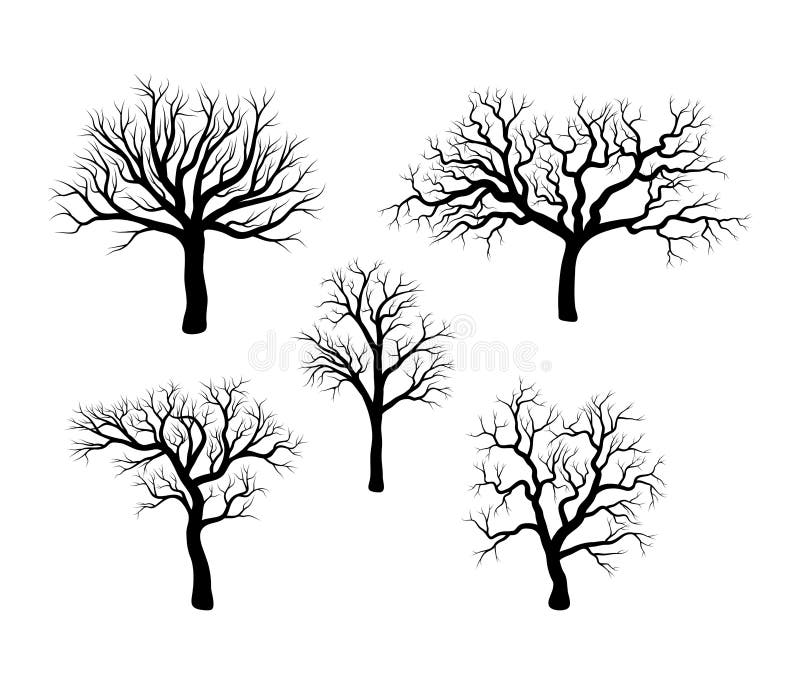 Bare Tree Stock Illustrations 6 088 Bare Tree Stock Illustrations Vectors Clipart Dreamstime