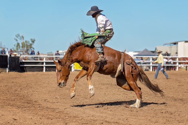 Bareback Bucking Bronc Riding At Country Rodeo