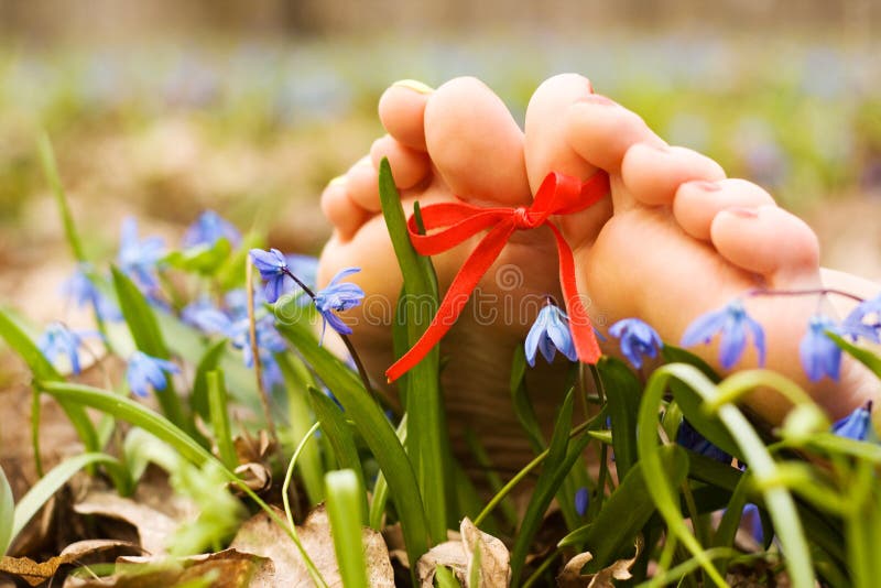 Barefooted woman s feet in flowers. Ribbon bow