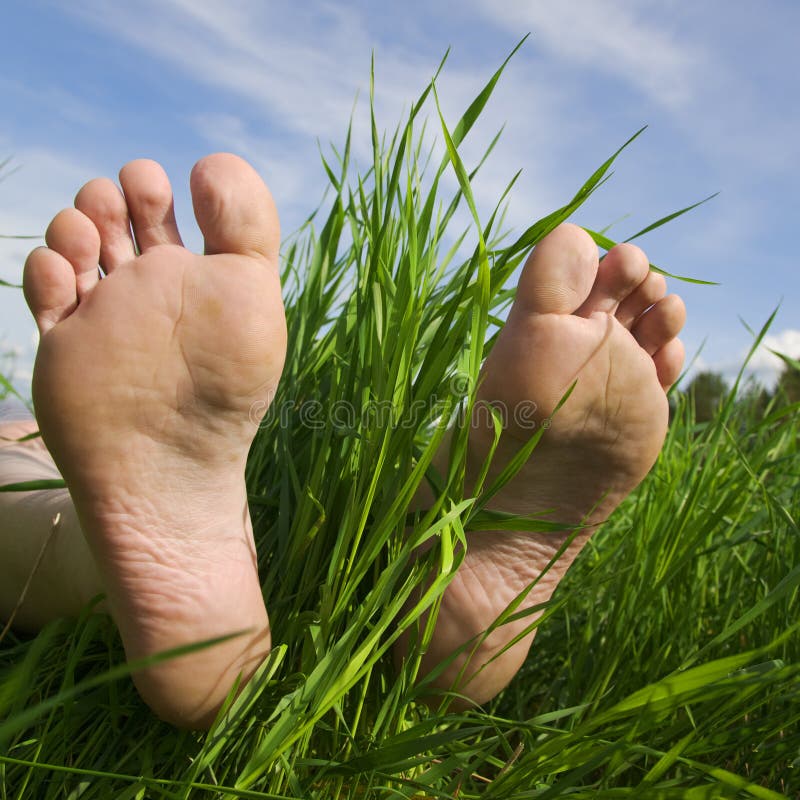 Barfuß im Gras stockbild. Bild von bruch, sommer, menschlich - 10438949