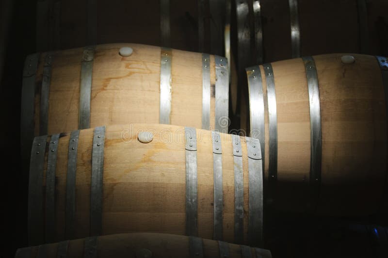 Barilotti di vino fotografia stock libera da diritti Barilotti di vino fotografia stock libera da diritti