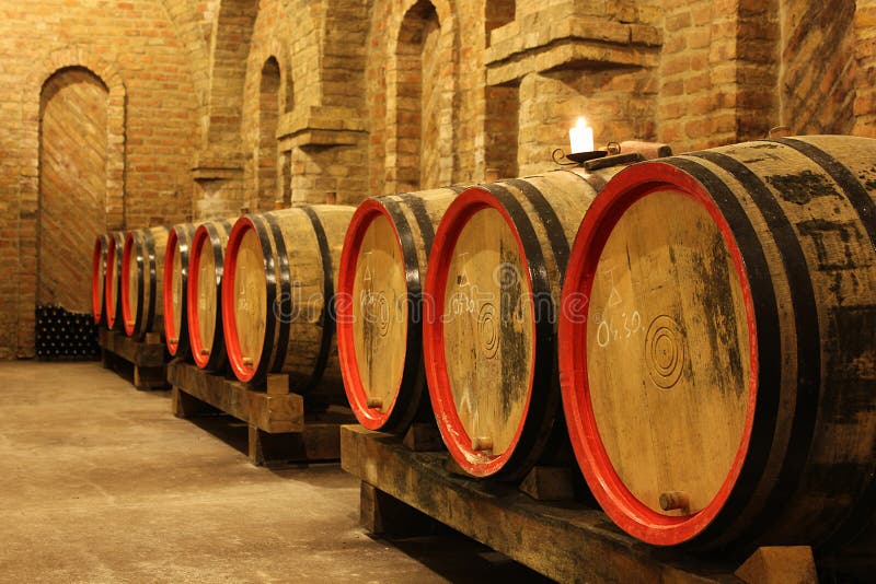 Barilotti di vino in cantina fotografie stock libere da diritti Barilotti di vino in cantina fotografie stock libere da diritti