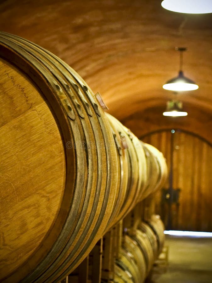 Barilotti di vino della quercia immagini stock Barilotti di vino della quercia immagini stock