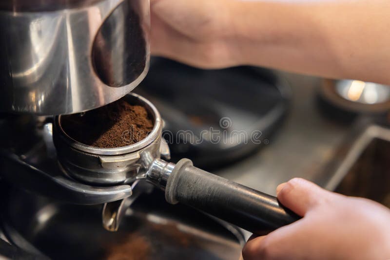 Barista Using Coffee Grinder to Make Fresh Roasted Coffee stock photo
