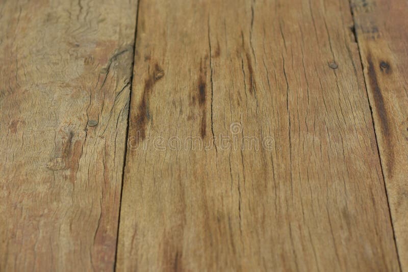 Bark It is a beautiful natural bark. stock images.