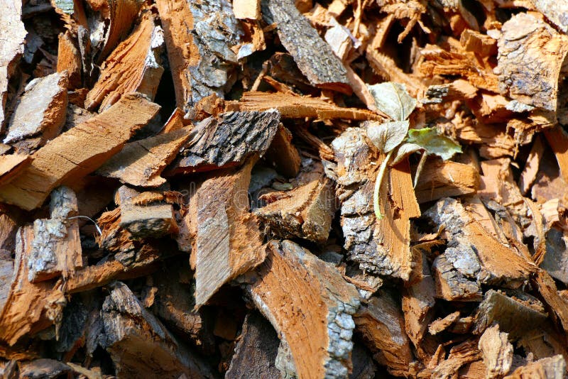 Bark Chippings royalty free stock photography