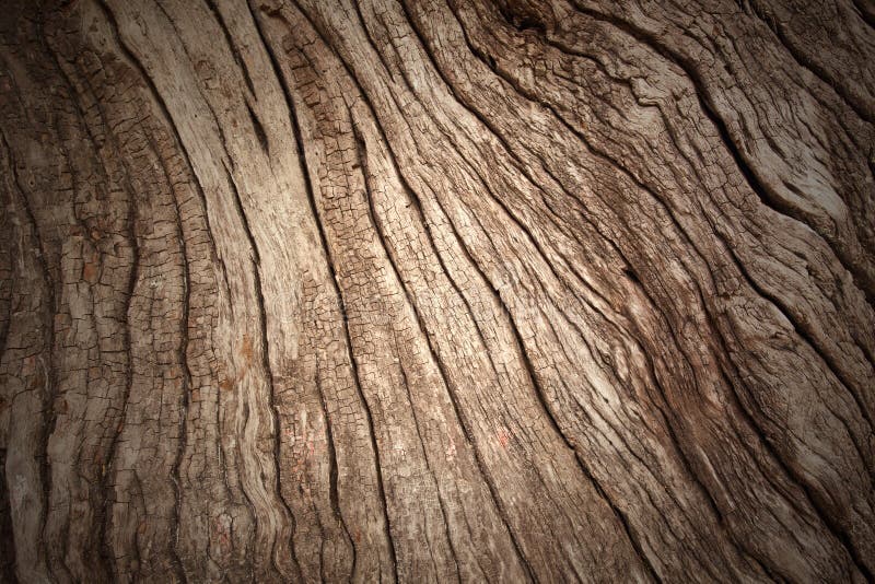 Bark pattern