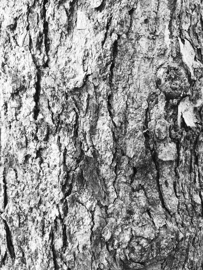 Bark High contrast stock image. Image of rugged, high - 128811787