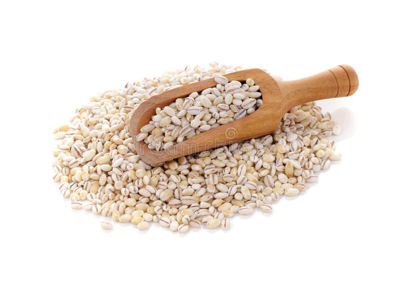 Barley grains stock image. Image of bran, closeup, natural 100335065