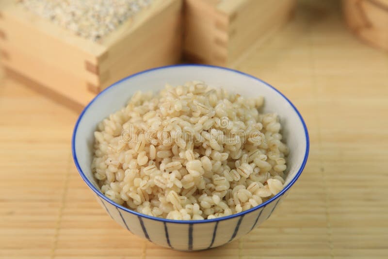 Barley rice stock photo. Image of grain, vegetarian, barley 69641094