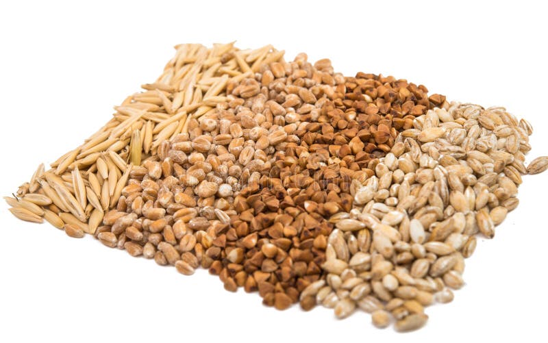 Barley, Wheat, Buckwheat, Oats Stock Image Image of buckwheat
