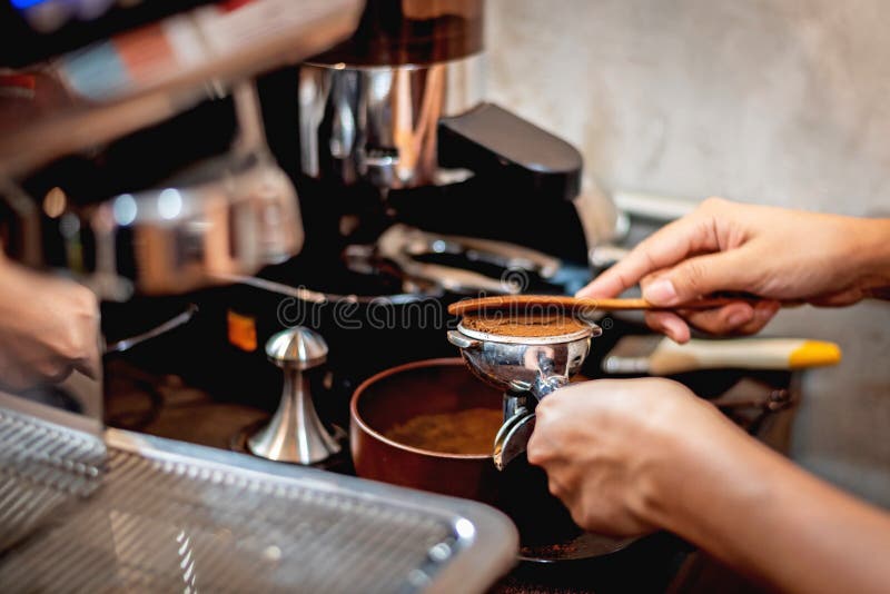 Barman préparant des grains de café grinded image stock Barman préparant des grains de café grinded image stock