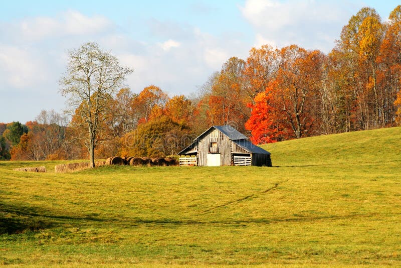 Barn stock photos