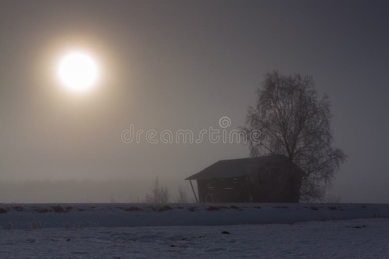 Barn And Birch Tree By The Fields. The shady morning sun shines a little light on the fields. There is quite a lot of mist, you can hardly see where you are royalty free stock photography Barn And Birch Tree By The Fields. The shady morning sun shines a little light on the fields. There is quite a lot of mist, you can hardly see where you are royalty free stock photography