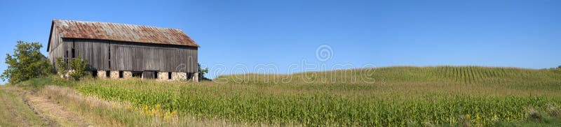 Barn Cornfield Panorama Corn Stalk Field Panoramic stock photos Barn Cornfield Panorama Corn Stalk Field Panoramic stock photos