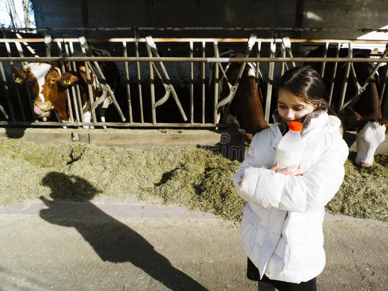 Barn dricker nytt mjölkar, från flaskorna på en lantgård, bak th arkivbilder Barn dricker nytt mjölkar, från flaskorna på en lantgård, bak th arkivbilder