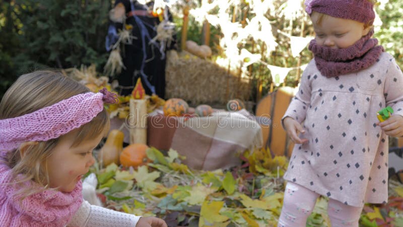 Barn gillar att leka med hunden på Halloween-festen arkivfilmer