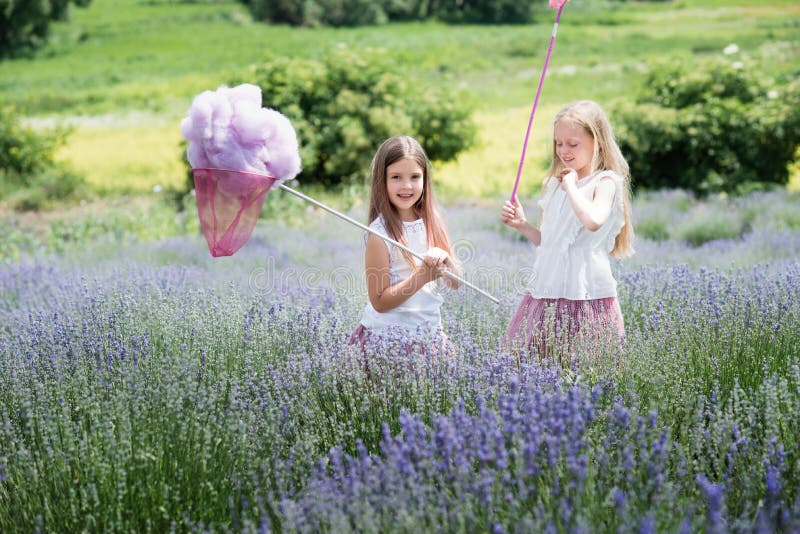 Barn i lavendelfält som fångar ullmolnet royaltyfri fotografi