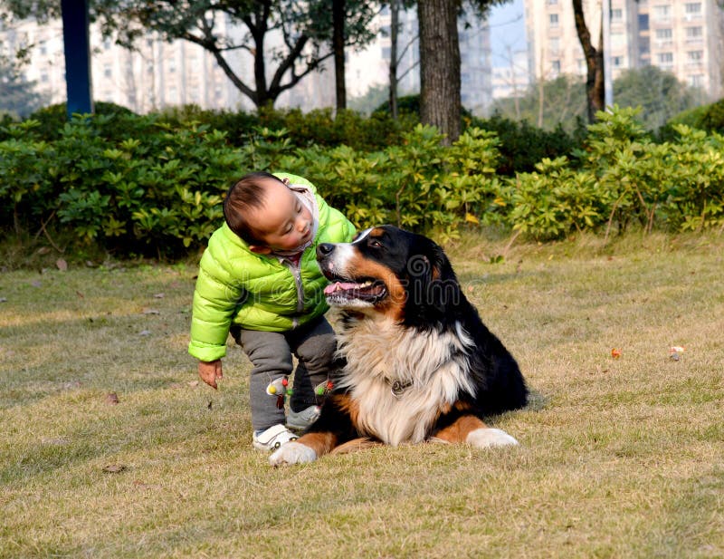 Barn och hund royaltyfri bild Barn och hund royaltyfri bild