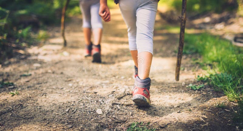 Barn som fotvandrar i berg eller skog med sporten som fotvandrar skor arkivfoton Barn som fotvandrar i berg eller skog med sporten som fotvandrar skor arkivfoton