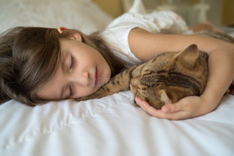 Barn som sover med katten royaltyfri fotografi Barn som sover med katten royaltyfri fotografi