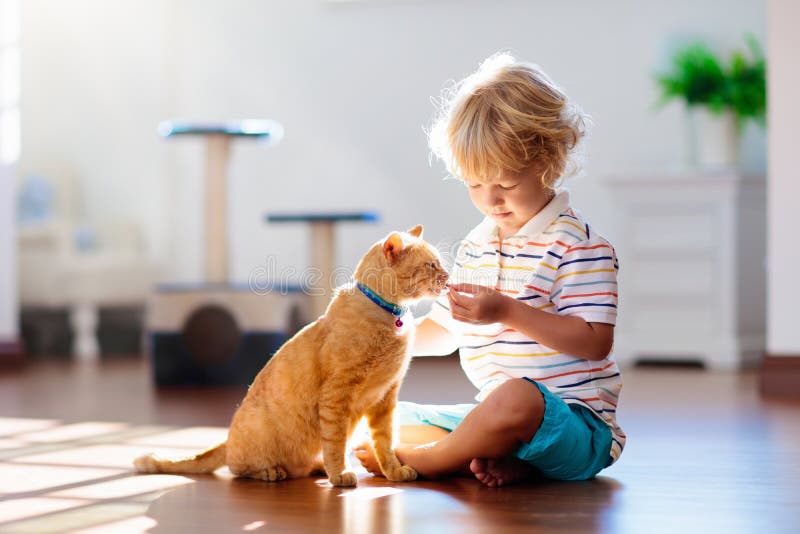 Barn som spelar med den hemmastadda katten Ungar och husdjur royaltyfria bilder