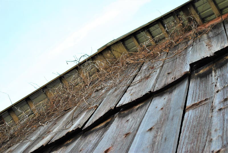 Barn wall to roof