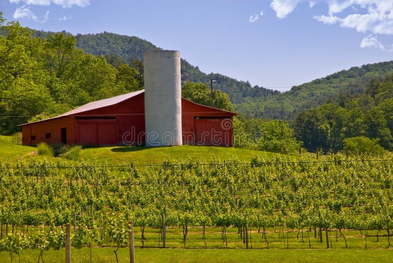 Barn at the Winery / Mountains royalty free stock photography Barn at the Winery / Mountains royalty free stock photography