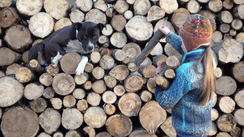 Barnet förbereder trä för video för vinter 4k