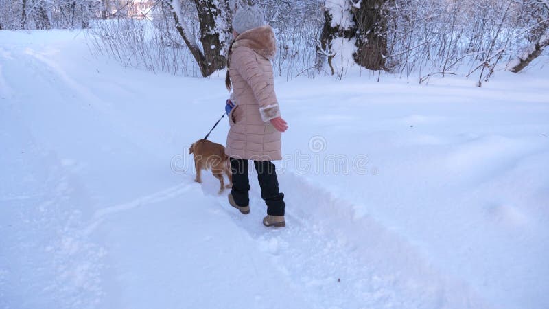 Barnet och hunden promenerar banan i vinterskogflickan som spelar med hunden i insnöad vinter parkerar in royaltyfri bild Barnet och hunden promenerar banan i vinterskogflickan som spelar med hunden i insnöad vinter parkerar in royaltyfri bild