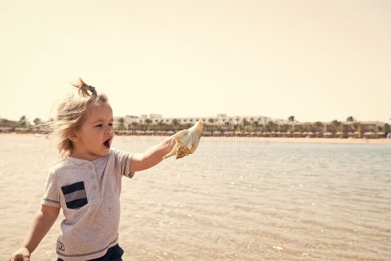 Barnlek med snäckskalet på solig seascape Pys med skalet på havsstranden Frihet, upptäckt och affärsföretag Sommar arkivfoton Barnlek med snäckskalet på solig seascape Pys med skalet på havsstranden Frihet, upptäckt och affärsföretag Sommar arkivfoton