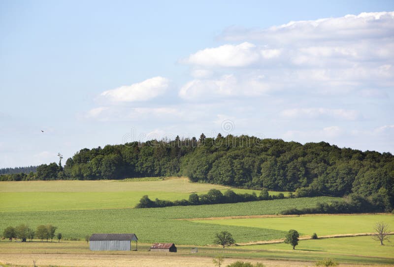 barns in green summer landscape of belgian ardennes in province of namur under blue summer sky with forest background