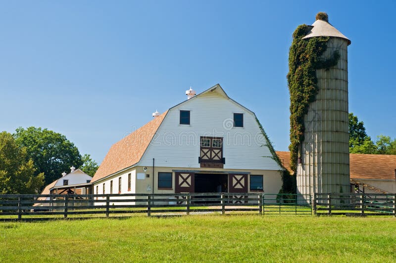 Barns and silo on dairy farm