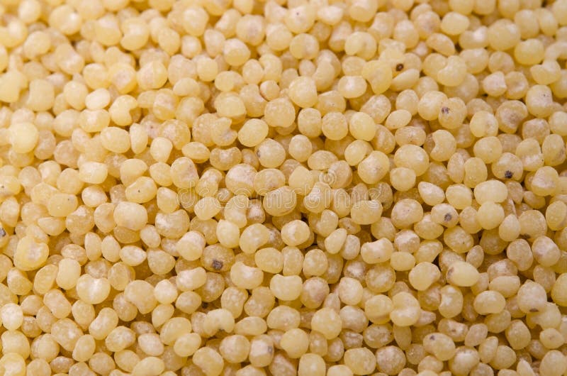 Barnyard millet stock photo. Image of food, organic, healthy 25042322