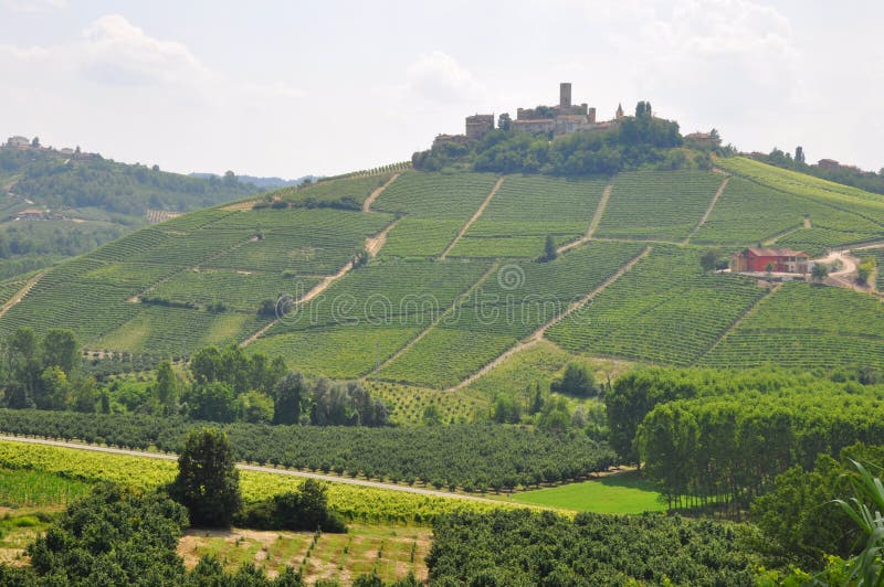 The vineyards and hilltop town on serralunga alba in Barolo wine county in alba Cuneo piedmont piemonte Italy. The vineyards and hilltop town on serralunga alba in Barolo wine county in alba Cuneo piedmont piemonte Italy