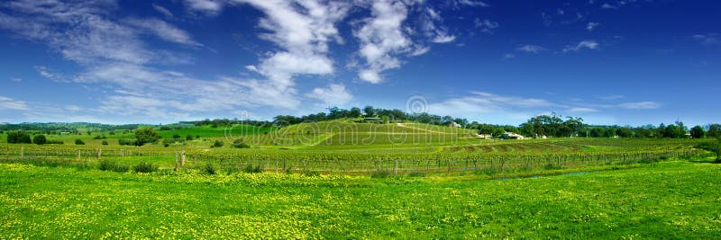 The Barossa Valley Wine Region. The Barossa Valley Wine Region