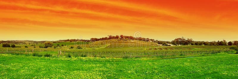 The Barossa Valley Wine Region. The Barossa Valley Wine Region